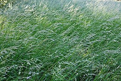 稳定增长！《死亡搁浅》玩家数超过1600万